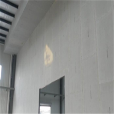 会泽宁波ALC板|EPS加气板隔墙与混凝土整浇联接的实验研讨